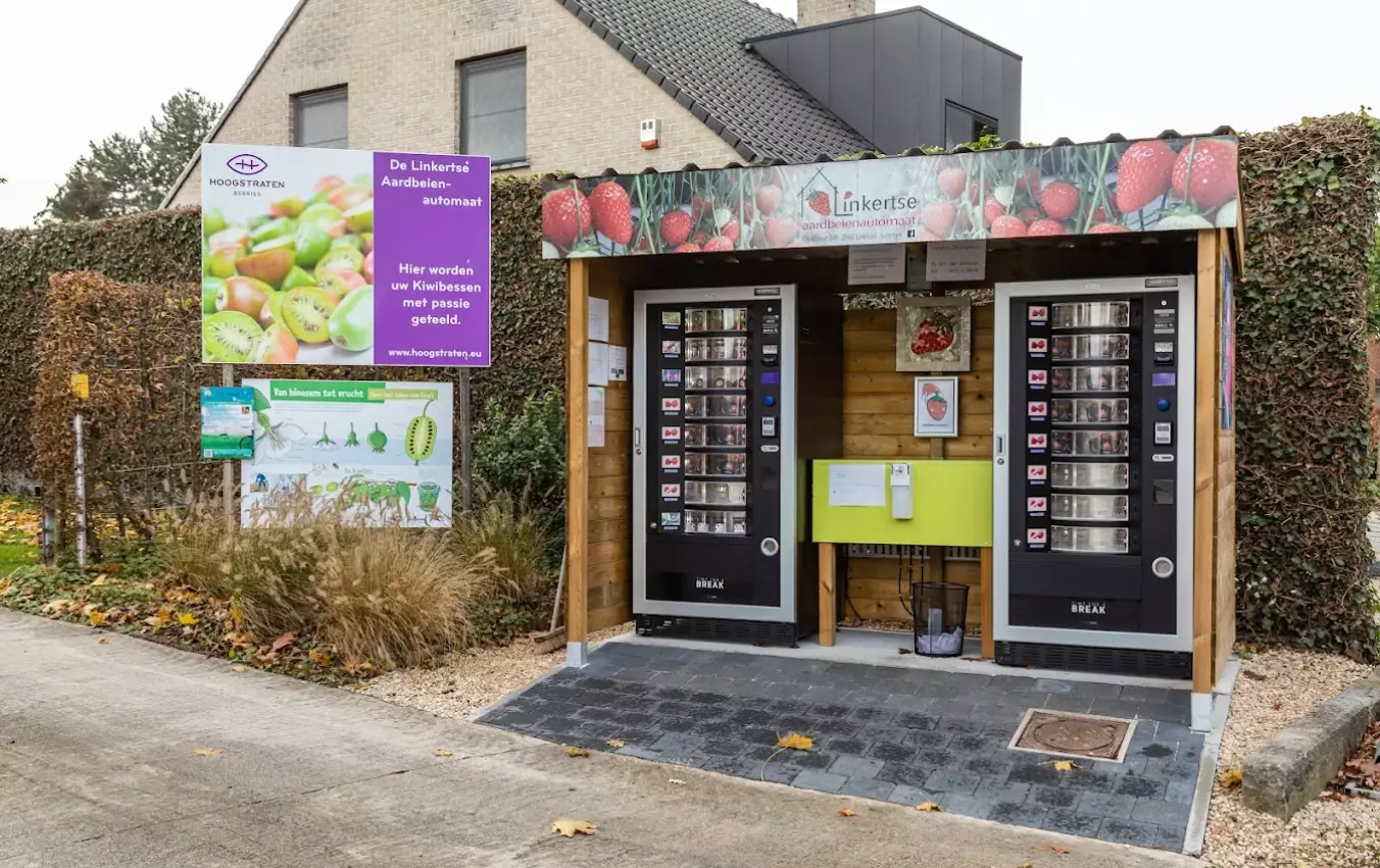 Linkertse Aardbei — Ferme, Lummen