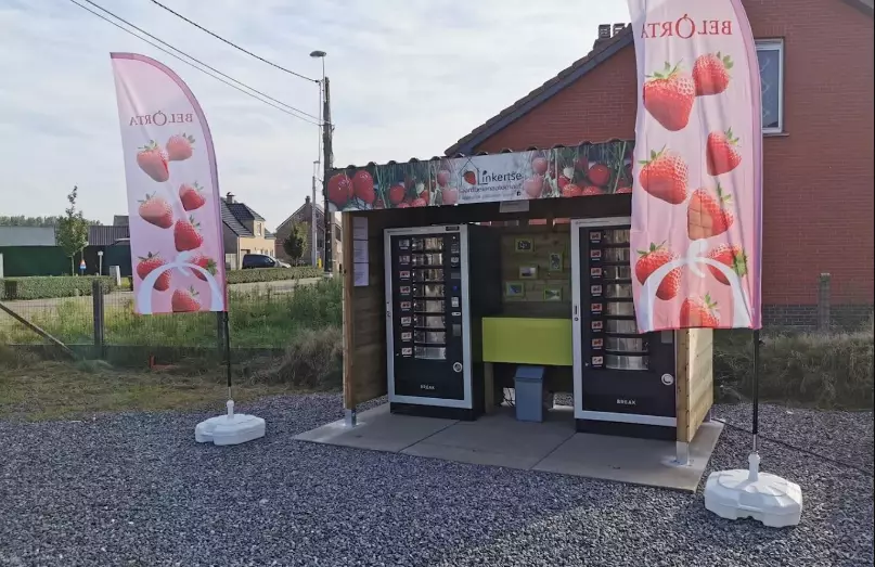 Linkertse Aardbei — Ferme, Lummen