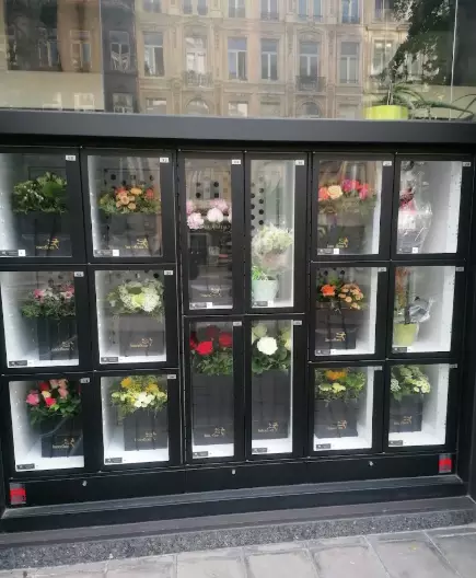 Brussels Flowers — Fleuriste, Bruxelles - Brussel